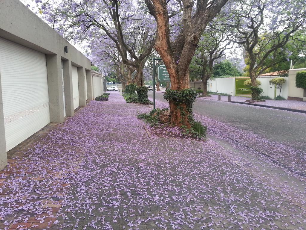 Rosebank Lodge Guesthouse By Claires ヨハネスブルグ エクステリア 写真