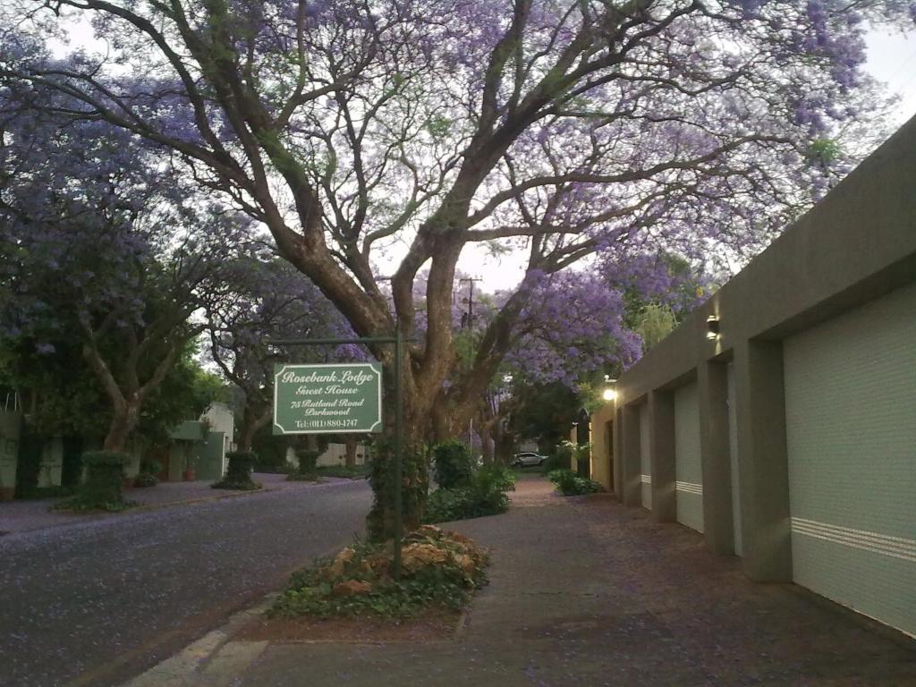 Rosebank Lodge Guesthouse By Claires ヨハネスブルグ 部屋 写真