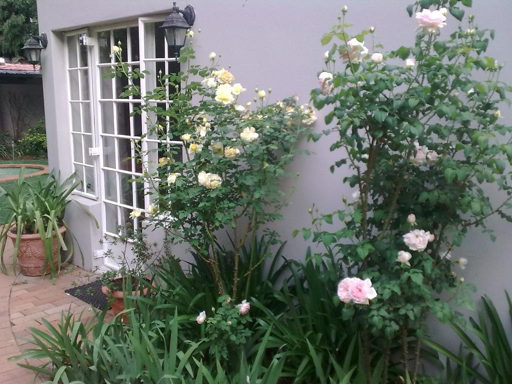 Rosebank Lodge Guesthouse By Claires ヨハネスブルグ エクステリア 写真