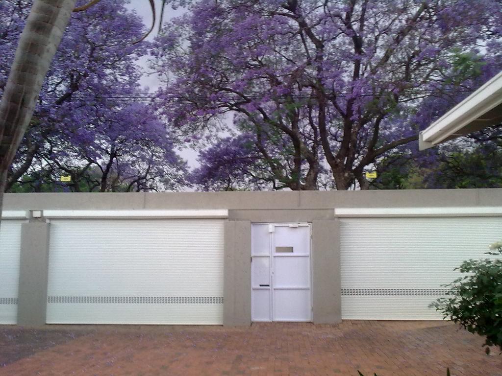 Rosebank Lodge Guesthouse By Claires ヨハネスブルグ エクステリア 写真