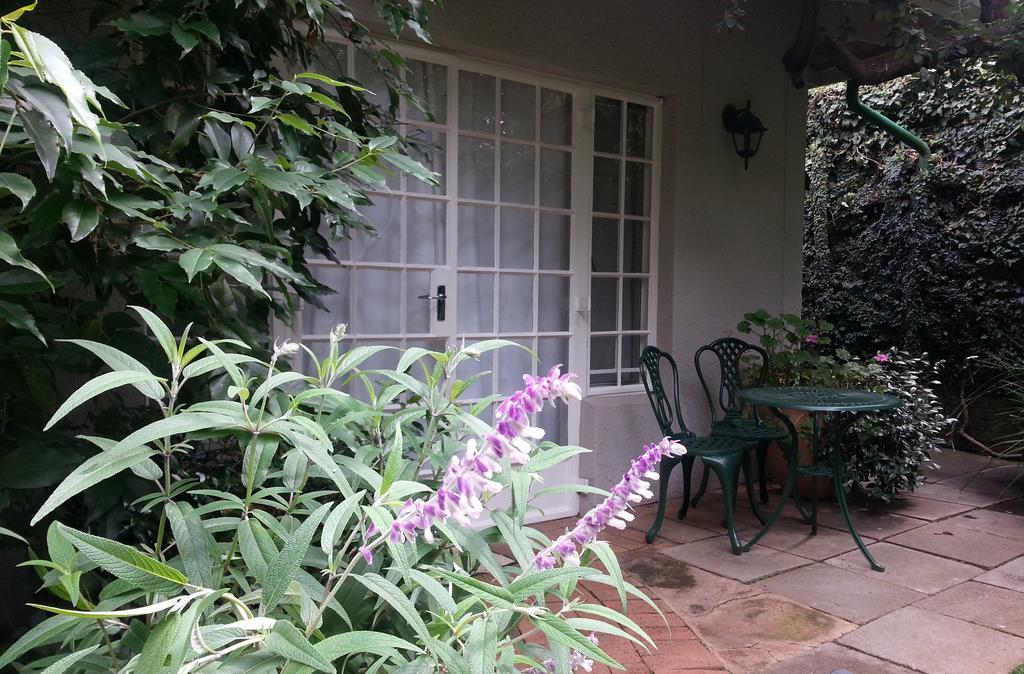 Rosebank Lodge Guesthouse By Claires ヨハネスブルグ エクステリア 写真