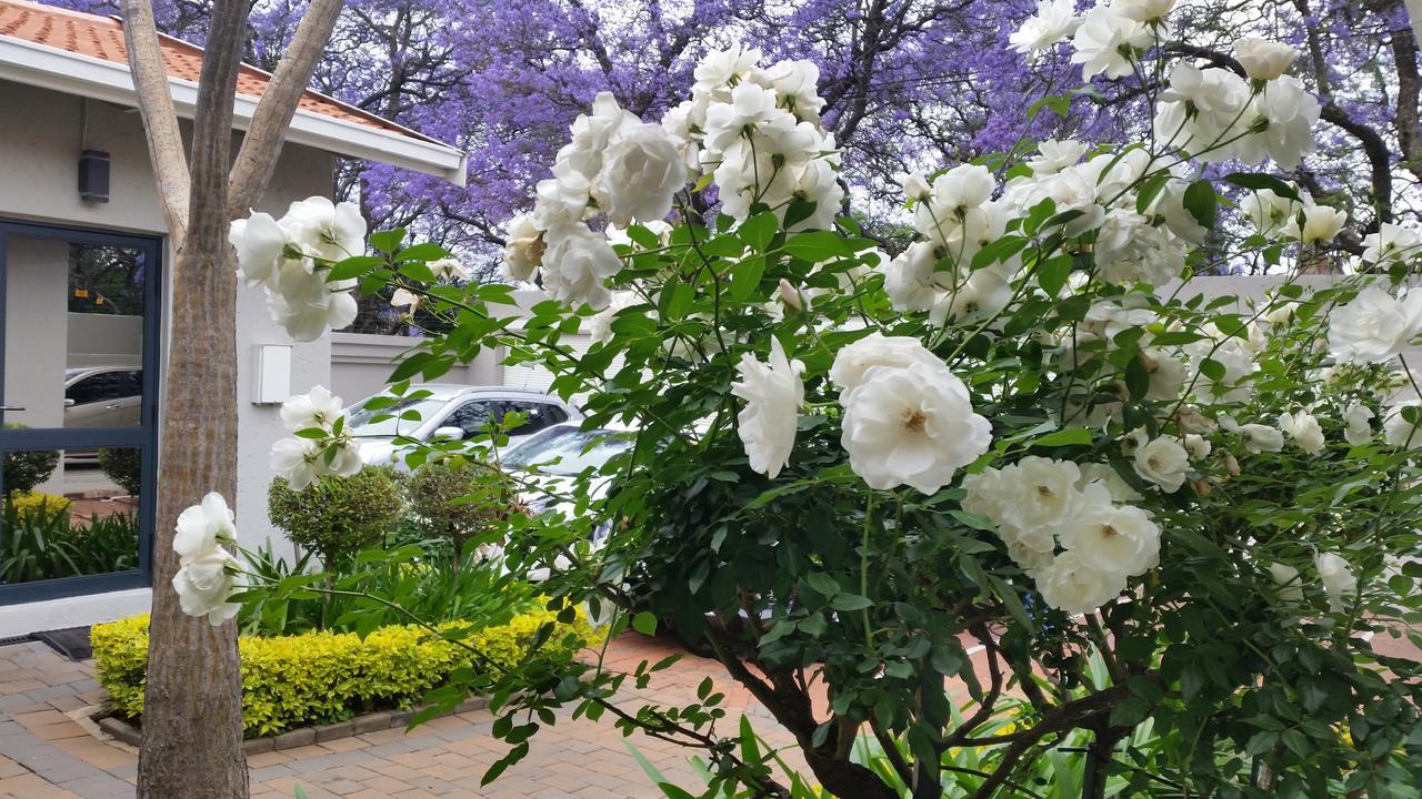 Rosebank Lodge Guesthouse By Claires ヨハネスブルグ エクステリア 写真